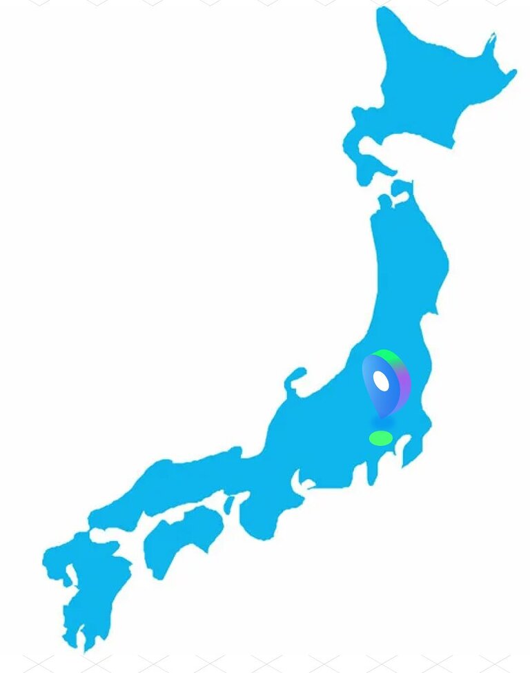 Tokyo proxy server