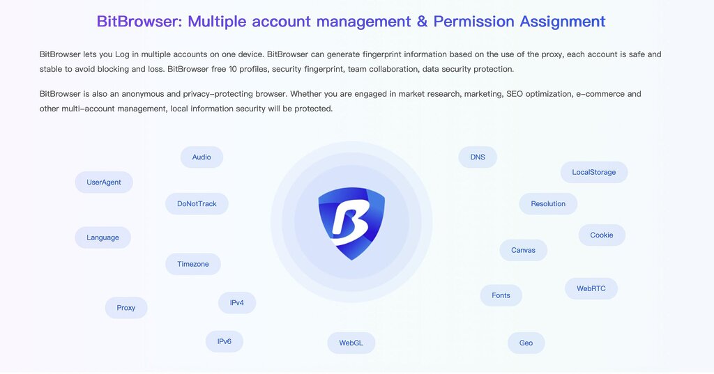 BitBrowser Overview