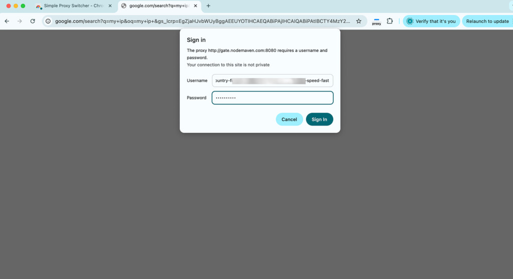 Proxy Authentication Tab