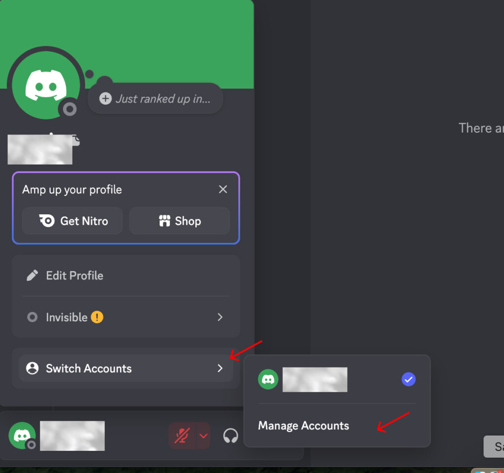 Multiple Discord Accounts - Discord Desktop App