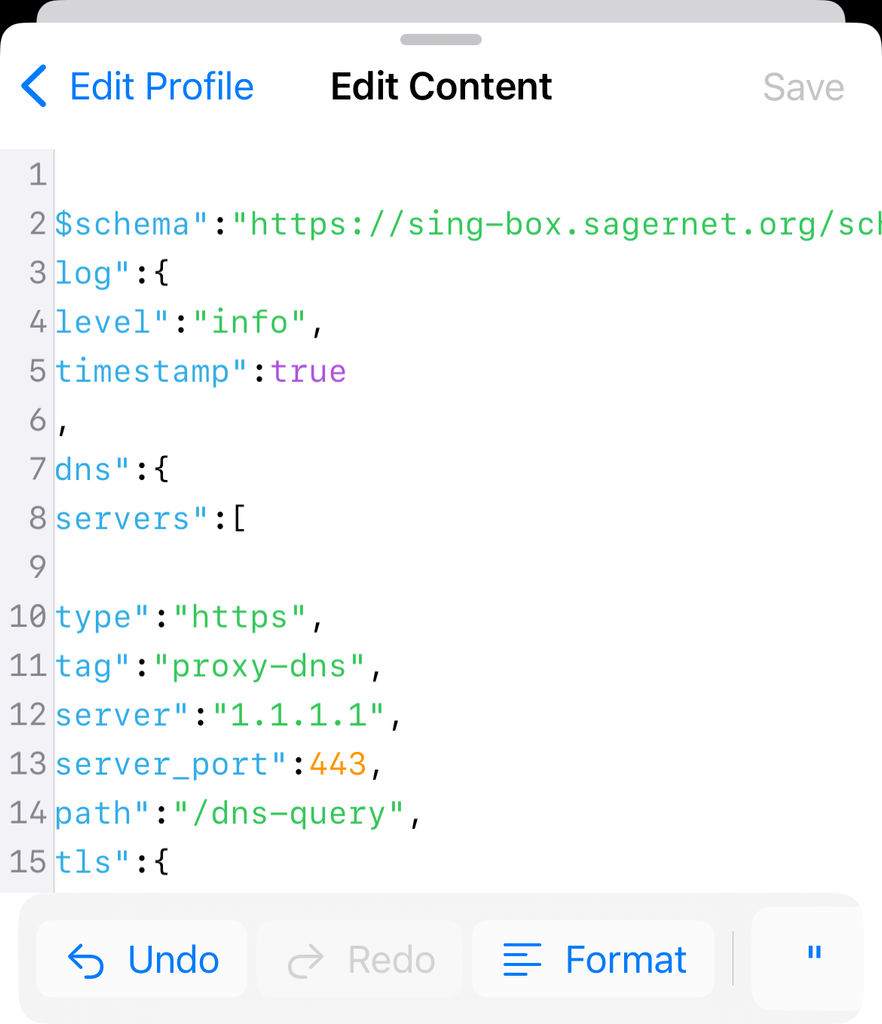 Set Up Sing-box | iOS step 4