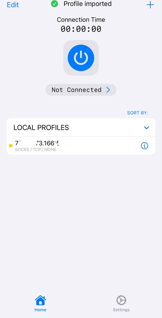Streisand VPN Setup, The imported subscription or Socks profile.