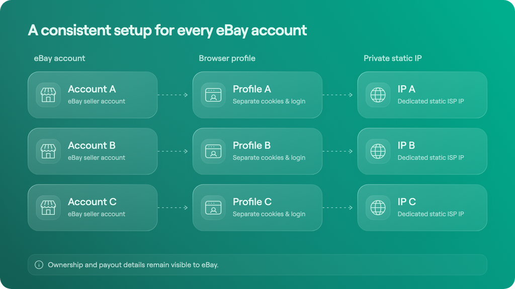 Each eBay account mapped to a separate browser profile and private ISP IP. A note that ownership and payout details remain visible to eBay.