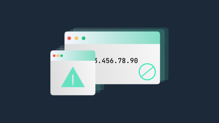 Your IP Has Been Temporarily Blocked: Causes and How to Fix