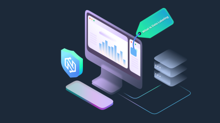 What is Data Labeling and Its Role in Data Verification?