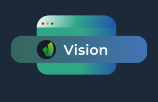 Vision